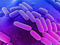 i-5-batteri-piu-pericolosi-al-mondo